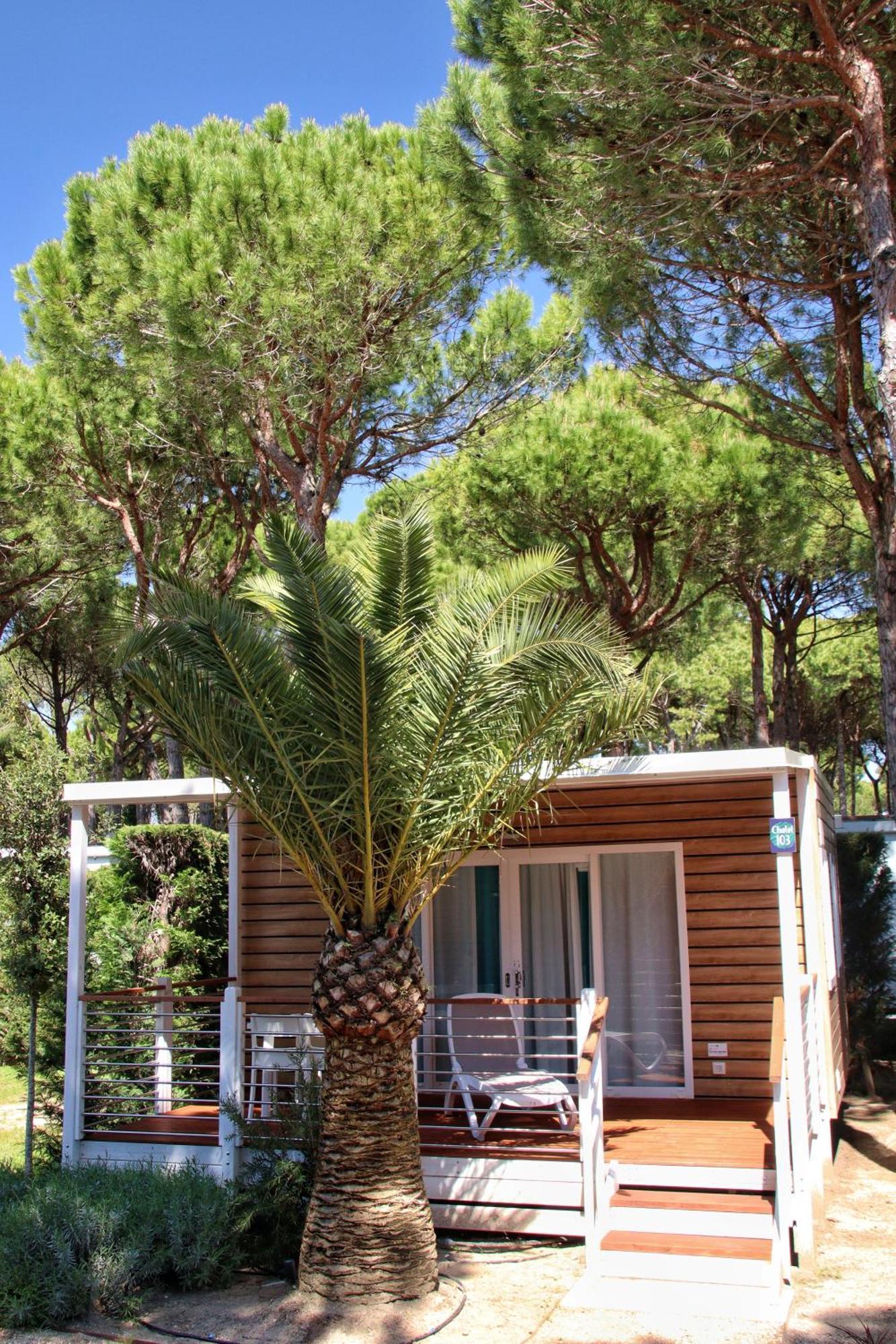 Apartamento Dune Prestige &